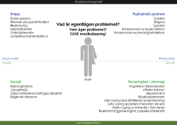 biopsykosocialdiagnostik